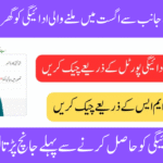 BISP 8171 August 2025 Payment Check