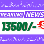 Ehsaas Payment Issue Solution 2025