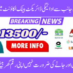 BISP 8171 Payment Verification Process