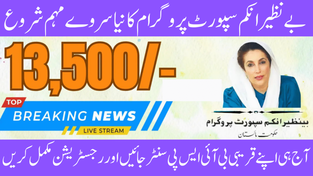 The whole NSER Survey BISP August Campaign Check procedure  Step-by-Step 2025