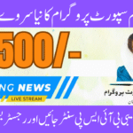 NSER Survey BISP August Campaign Check procedure Step-by-Step