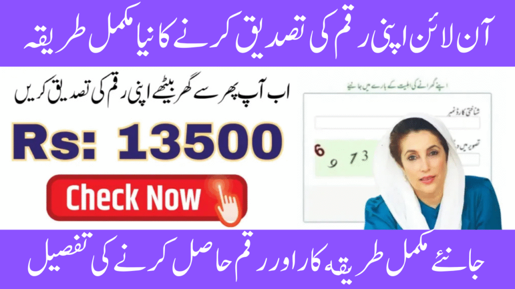8171 Verify Your BISP Payment Status Online With CNIC Login
