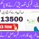 8171 Verify Your BISP Payment Status Online With CNIC Login