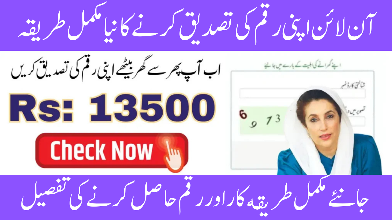 8171 Verify Your BISP Payment Status Online With CNIC Login
