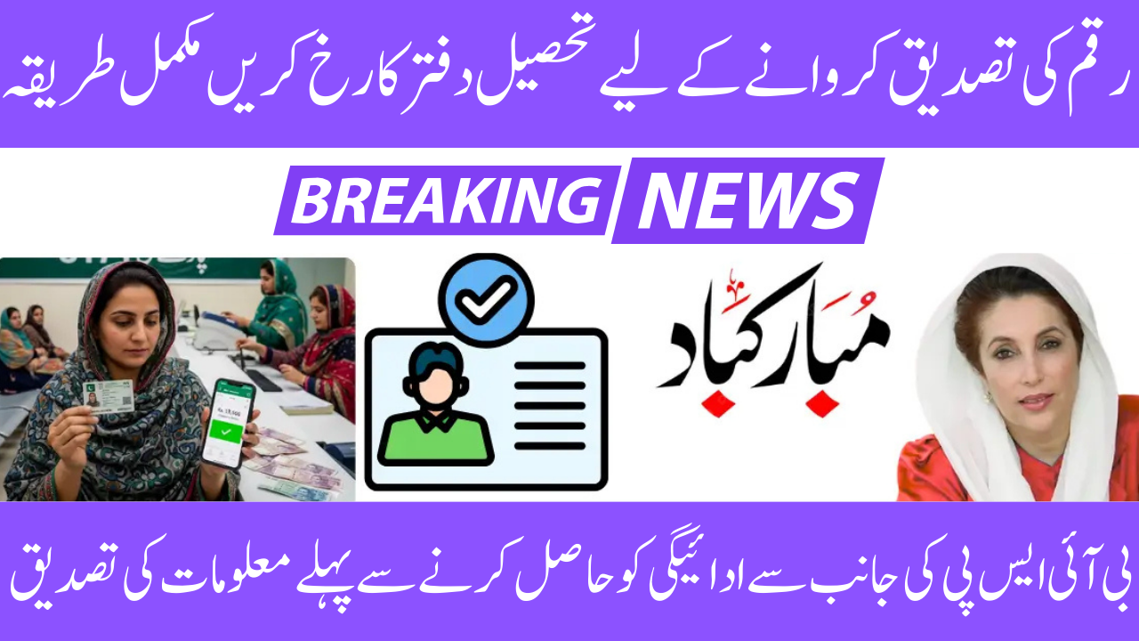 BISP 8171 Verification Process August 2025