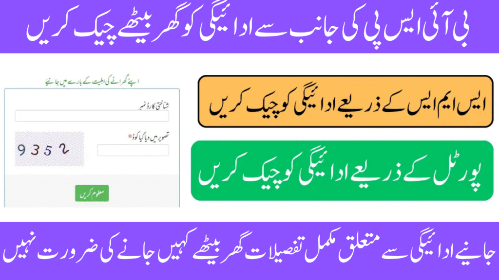 CNIC's Online BISP 8171 Result Check