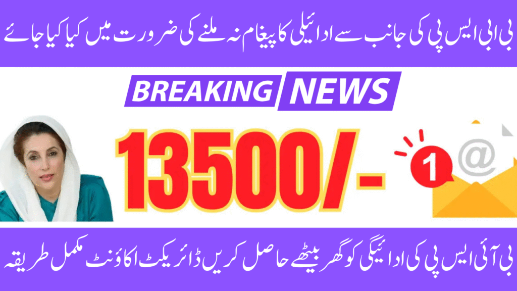 Problems with BISP 8171 SMS: Why Payment Is Delayed and How to Verify the Complete Guide to Alternative Methods in 2025