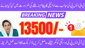 BISP 8171 SMS Issues